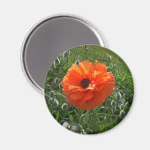 Fröhlicher Mohn Magnet (Vorderseite/Rückseite)