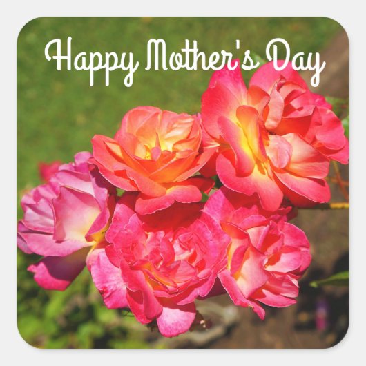 Fröhlicher Muttertag Joseph's Coat Rose #1 Sticker (Vorderseite)