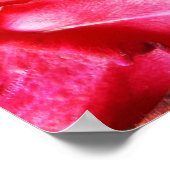 Fröhlicher Muttertag Poster (Ecke)