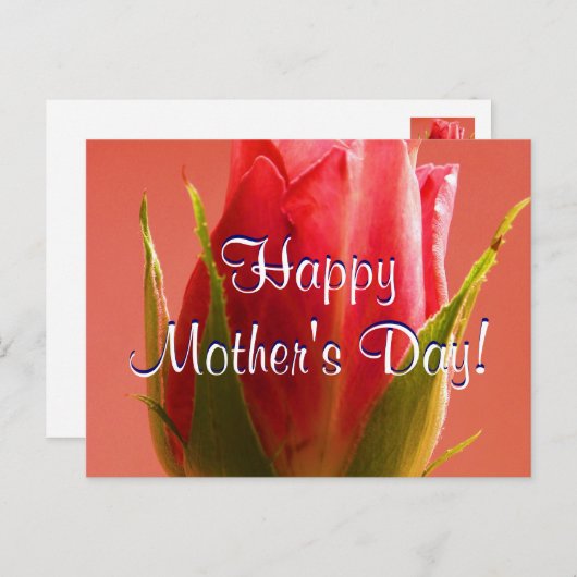 Fröhlicher Muttertag Rosa Rose I Postkarte (Vorne/Hinten)