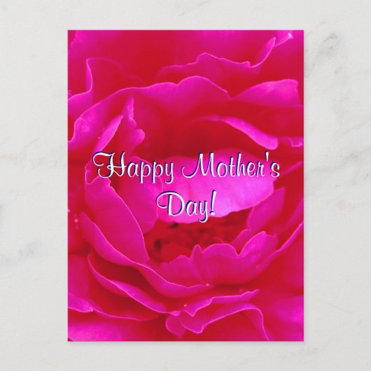 Fröhlicher Muttertag Rosa Rose Postkarte (Vorderseite)