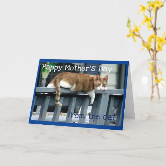 Fröhlicher Muttertag von Katze Karte (Gelbe Blume)