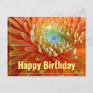 Fröhlicher Orange Gerber zum Geburtstag Postkarte