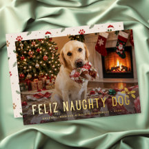 Fröhlicher Unartiger Hund Lustiges Foto Weihnachte