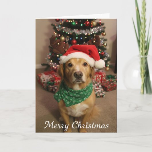 Fröhlicher Weihnachtshund Karte (Vorderseite)