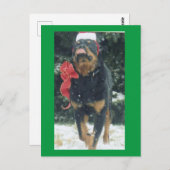 fröhlicher Weihnachtsrottweiler mit Weihnachtsmann Postkarte (Vorne/Hinten)