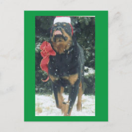 fröhlicher Weihnachtsrottweiler mit Weihnachtsmann Postkarte