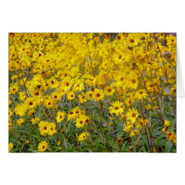 Fröhliches Feld gelber Blumen