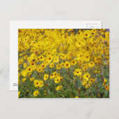 Fröhliches Feld gelber Blumen Postkarte (Vorne/Hinten)