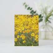 Fröhliches Feld gelber Blumen Postkarte (Stehend Vorderseite)