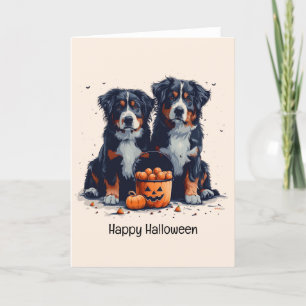 Fröhliches Halloween Berner Sennenhunde Kürbis Feiertagskarte
