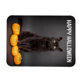 Fröhliches Halloween für alle schwarzen Katzen mit Magnet (Horizontal)