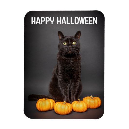Fröhliches Halloween für alle schwarzen Katzen mit Magnet (Vertikal)