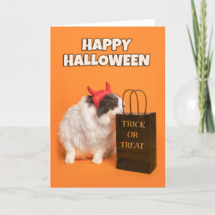 Fröhliches Halloween für jede Katze in Kostüm Feiertagskarte