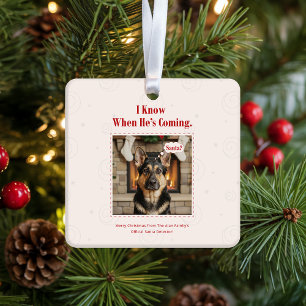 Fröhliches Lustiges Hunde-Tier-Foto Weihnachten Fe Keramikornament