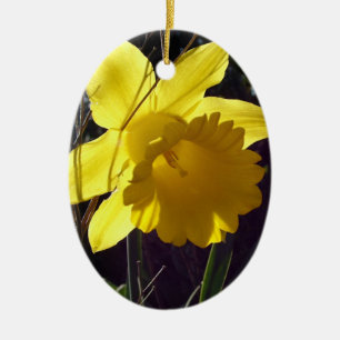 Fröhliches Ostern Feiertagsornament, Taube und Blu Keramikornament