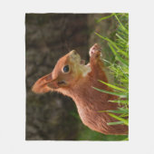 Fröhliches Rotes Eichhörnchen Fleecedecke (Vorderseite)