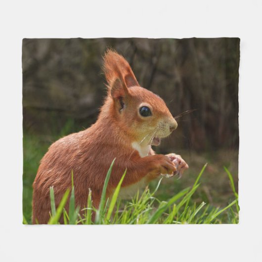 Fröhliches Rotes Eichhörnchen Fleecedecke (Vorderseite (Horizontal))