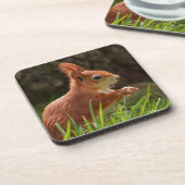 Fröhliches Rotes Eichhörnchen Getränkeuntersetzer (Linke Seite)