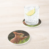 Fröhliches Rotes Eichhörnchen Getränkeuntersetzer (Seite)