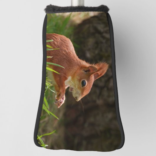 Fröhliches Rotes Eichhörnchen Golf Headcover (Rotieren 90)
