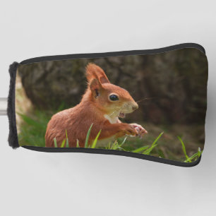 Fröhliches Rotes Eichhörnchen Golf Headcover