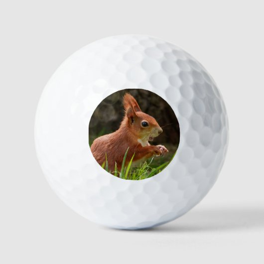 Fröhliches Rotes Eichhörnchen Golfball (Vorderseite)