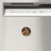 Fröhliches Rotes Eichhörnchen Magnet (In Situ (Geschirrspüler))