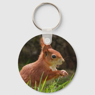 Fröhliches Rotes Eichhörnchen Schlüsselanhänger