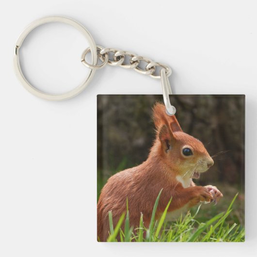Fröhliches Rotes Eichhörnchen Schlüsselanhänger (Vorderseite)