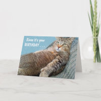 "From Cat" Der sonnige Geburtstag