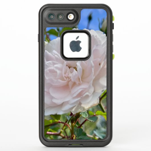 From my mom's garden (Rückseite)