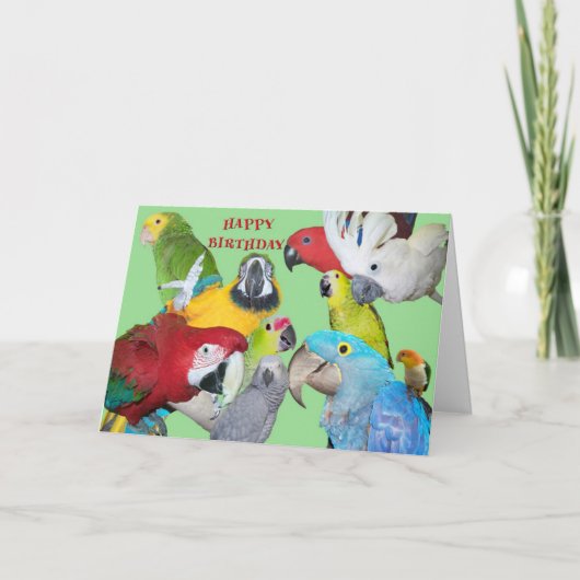 From the Flock Birthday Karte (Vorderseite)