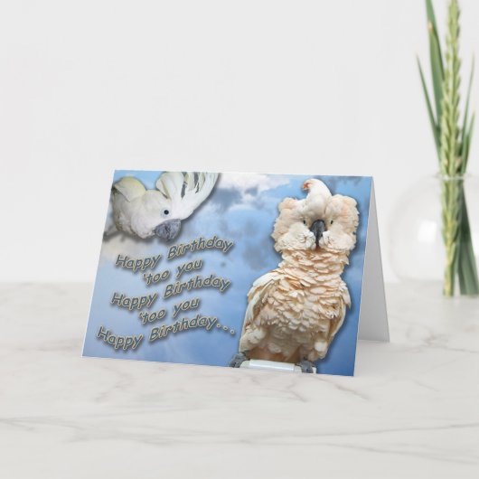 From the 'too of us karte (Vorderseite)