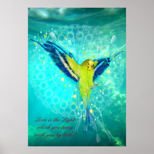 FromHeavenToEarth - Poster (Vorne)