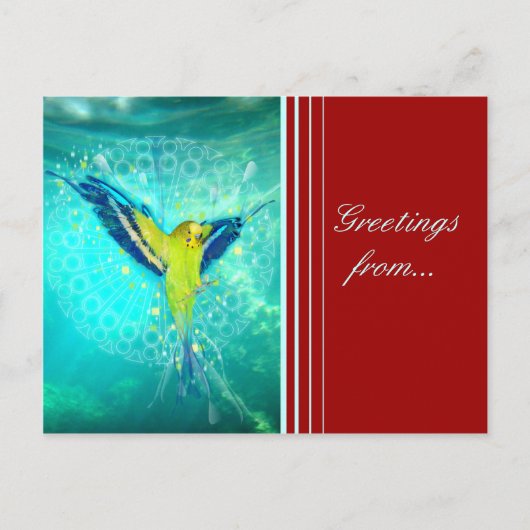 FromHeavenToEarth - Postkarte (Vorderseite)