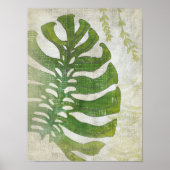 Frond III Poster (Vorne)
