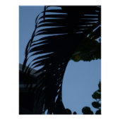 Frond Shadows Poster (Vorderseite)