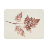 Fronds of Blätter, 1843 (b/w Foto) Magnet (Horizontal)