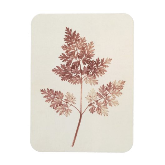 Fronds of Blätter, 1843 (b/w Foto) Magnet (Vertikal)
