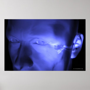 Front view of the inner ear poster