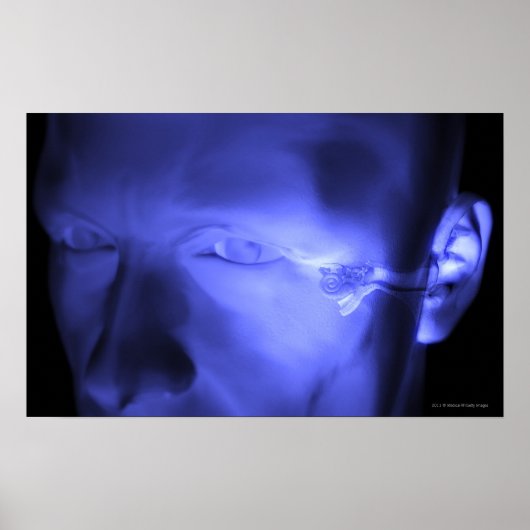 Front view of the inner ear poster (Vorne)