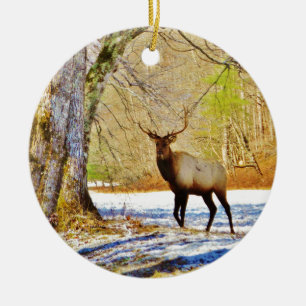 > frontal Bull elk in Snow Keramik Ornament