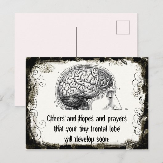 Frontal Lobe Haiku Postkarten (Vorne/Hinten)