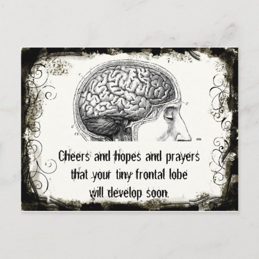 Frontal Lobe Haiku Postkarten (Vorderseite)