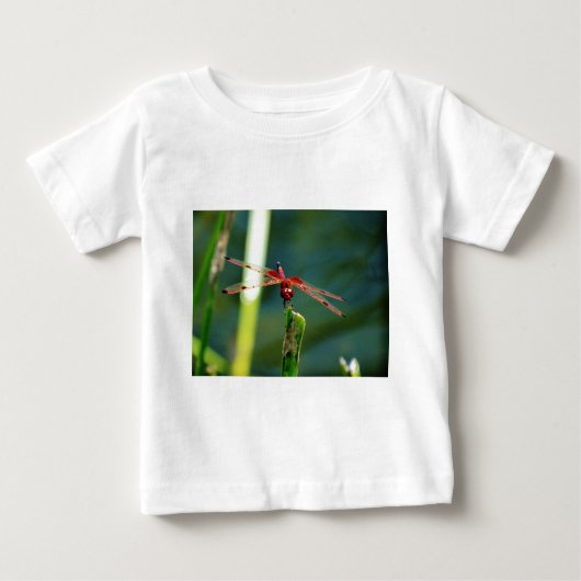 Frontal Red and Black Dragonfly Baby T-shirt (Vorderseite)