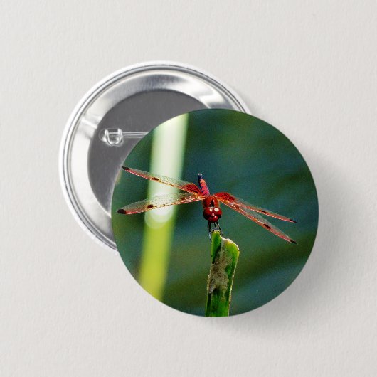 Frontal Red and Black Dragonfly Button (Vorne & Hinten)