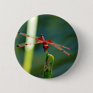 Frontal Red and Black Dragonfly Button