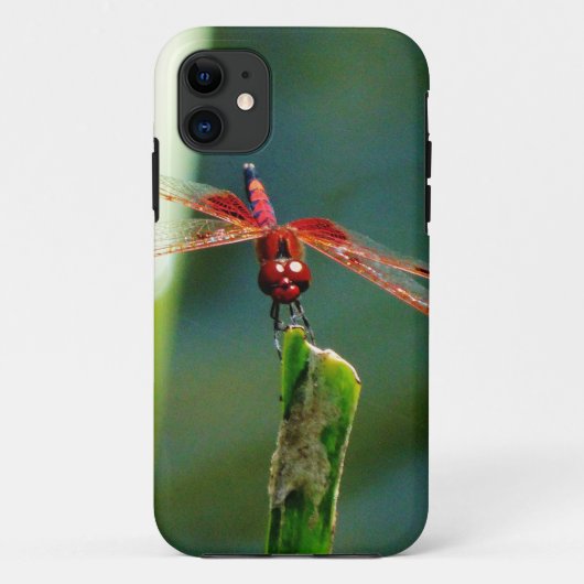 Frontal Red and Black Dragonfly Case-Mate iPhone Hülle (Rückseite)