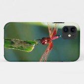 Frontal Red and Black Dragonfly Case-Mate iPhone Hülle (Rückseite (Horizontal))